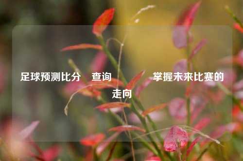 足球预测比分⚽查询🏀掌握未来比赛的走向