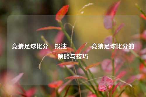 竞猜足球比分⚽投注🏆竞猜足球比分的策略与技巧