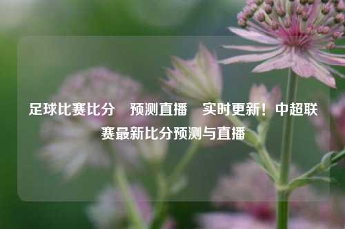 足球比赛比分⚽预测直播⚾实时更新！中超联赛最新比分预测与直播