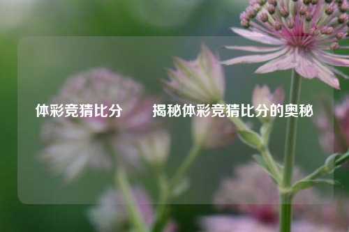 体彩竞猜比分⚽⚽揭秘体彩竞猜比分的奥秘