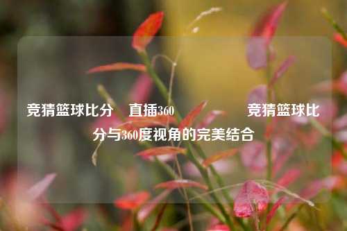 竞猜篮球比分⚽直插360🎖️竞猜篮球比分与360度视角的完美结合
