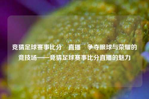 竞猜足球赛事比分⚽直播⚾争夺眼球与荣耀的竞技场——竞猜足球赛事比分直播的魅力