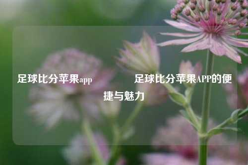 足球比分苹果app🏆足球比分苹果APP的便捷与魅力