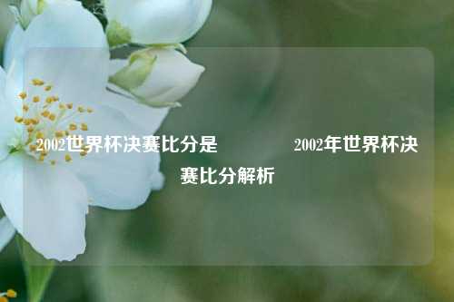 2002世界杯决赛比分是🌈2002年世界杯决赛比分解析