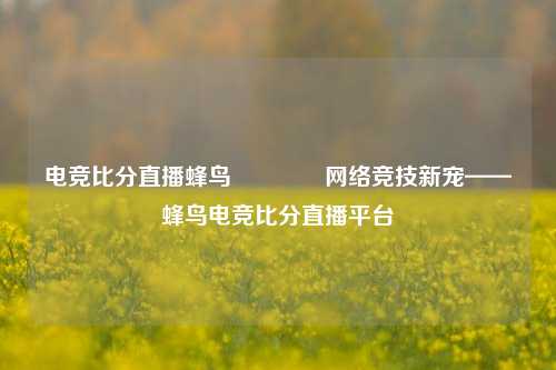 电竞比分直播蜂鸟🏆网络竞技新宠——蜂鸟电竞比分直播平台