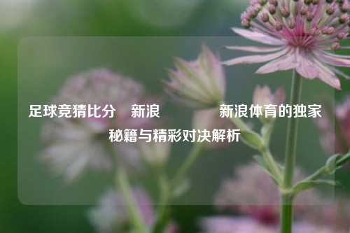 足球竞猜比分⚽新浪🏐新浪体育的独家秘籍与精彩对决解析