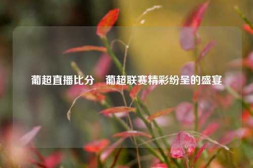 葡超直播比分⚽葡超联赛精彩纷呈的盛宴