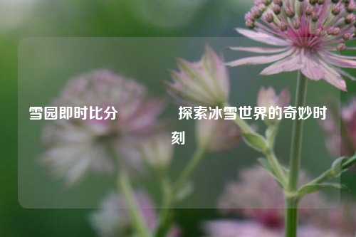 雪园即时比分🥉探索冰雪世界的奇妙时刻
