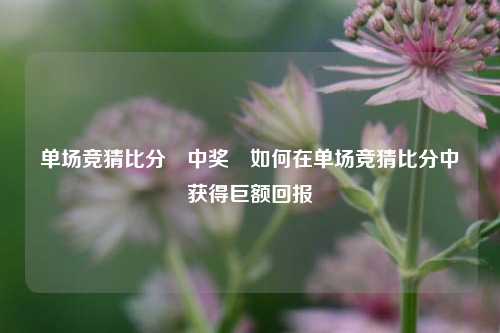 单场竞猜比分⚽中奖⚾如何在单场竞猜比分中获得巨额回报