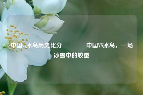 中国vs冰岛历史比分🥈中国VS冰岛,一场冰雪中的较量