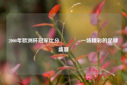 2000年欧洲杯冠军比分🥉一场精彩的足球盛宴