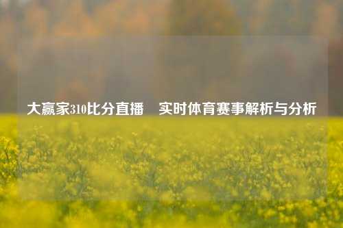 大赢家310比分直播⚽实时体育赛事解析与分析
