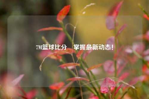 7M篮球比分⚾掌握最新动态！