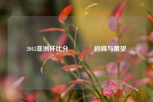 2015亚洲杯比分🏅回顾与展望