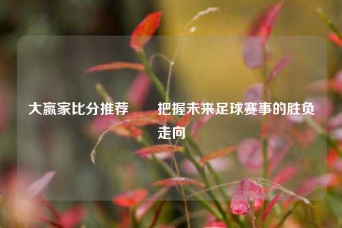 大赢家比分推荐✌️把握未来足球赛事的胜负走向
