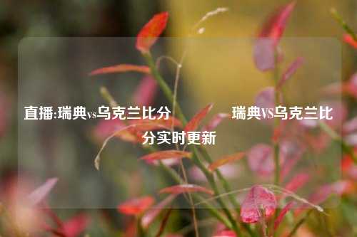 直播:瑞典vs乌克兰比分🥉瑞典VS乌克兰比分实时更新