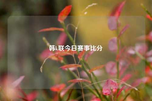 韩k联今日赛事比分⚾