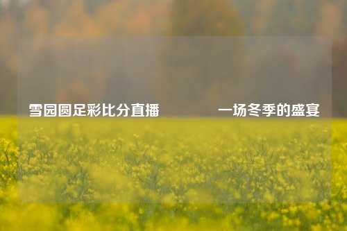 雪园圆足彩比分直播🥎一场冬季的盛宴