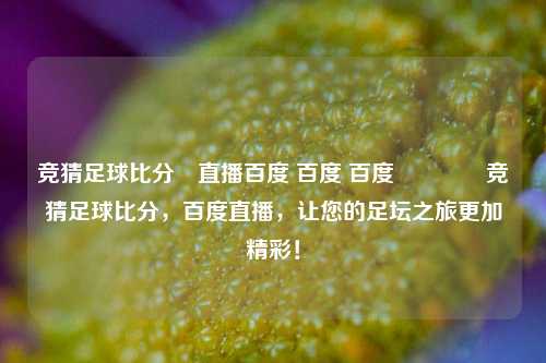 竞猜足球比分⚽直播百度 百度 百度👉竞猜足球比分，百度直播，让您的足坛之旅更加精彩！