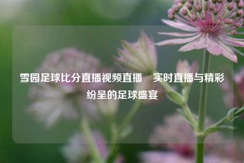 雪园足球比分直播视频直播⚽实时直播与精彩纷呈的足球盛宴