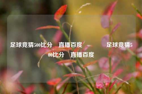 足球竞猜500比分⚽直播百度🌈足球竞猜500比分⚽直播百度