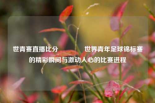 世青赛直播比分🏀世界青年足球锦标赛的精彩瞬间与激动人心的比赛进程