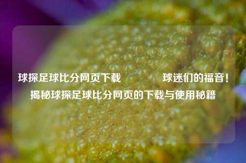 球探足球比分网页下载🌈球迷们的福音！揭秘球探足球比分网页的下载与使用秘籍