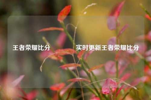 王者荣耀比分👍实时更新王者荣耀比分