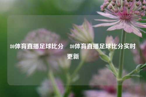 80体育直播足球比分⚽80体育直播足球比分实时更新