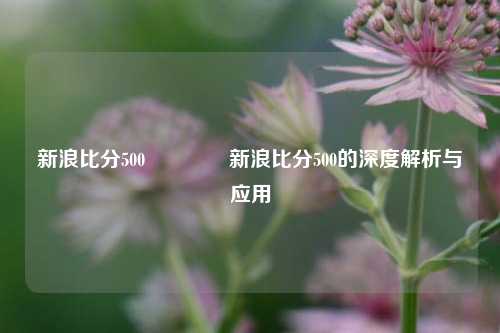 新浪比分500🏐新浪比分500的深度解析与应用