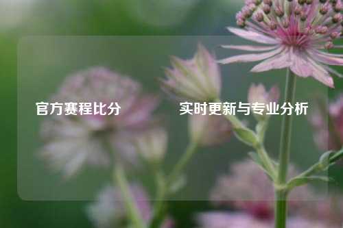 官方赛程比分👍实时更新与专业分析