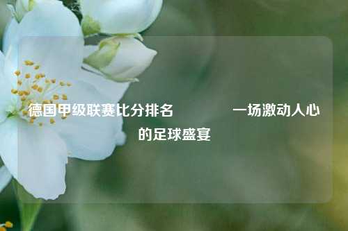 德国甲级联赛比分排名🏆一场激动人心的足球盛宴