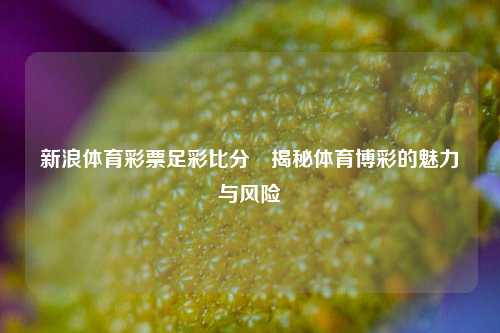 新浪体育彩票足彩比分⚾揭秘体育博彩的魅力与风险
