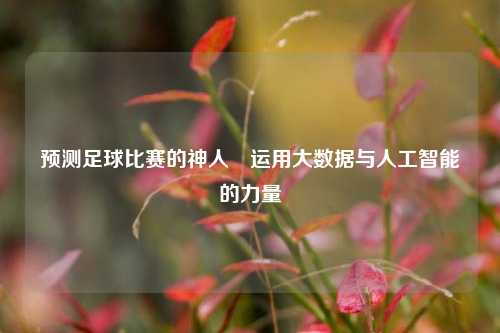 预测足球比赛的神人⚽运用大数据与人工智能的力量