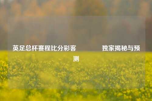 英足总杯赛程比分彩客🏐独家揭秘与预测