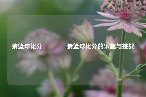 猜篮球比分🥎猜篮球比分的乐趣与挑战