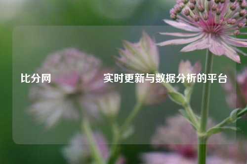 比分网🎖️实时更新与数据分析的平台