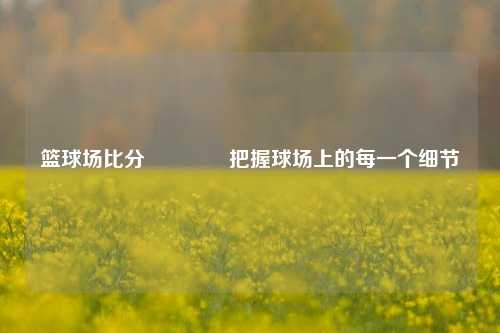 篮球场比分👉把握球场上的每一个细节