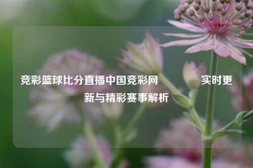 竞彩篮球比分直播中国竞彩网🥇实时更新与精彩赛事解析