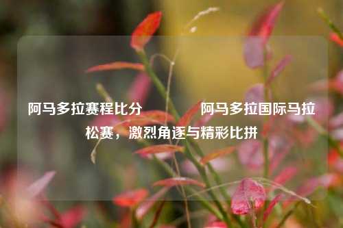 阿马多拉赛程比分👈阿马多拉国际马拉松赛，激烈角逐与精彩比拼