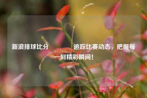 新浪排球比分🥉追踪比赛动态，把握每一刻精彩瞬间！