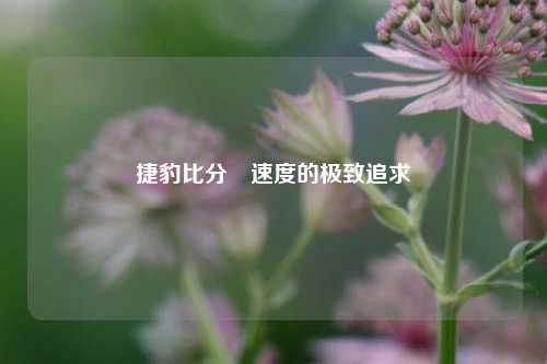 捷豹比分⚽速度的极致追求