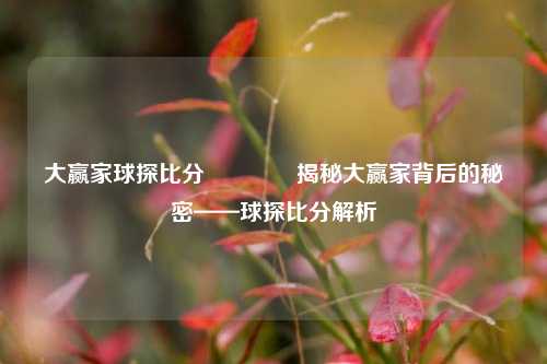 大赢家球探比分🏅揭秘大赢家背后的秘密——球探比分解析
