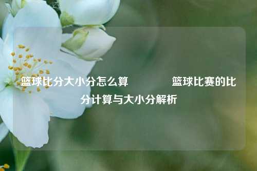 篮球比分大小分怎么算🥉篮球比赛的比分计算与大小分解析