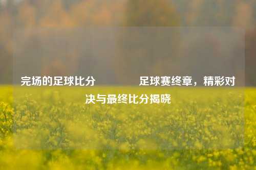 完场的足球比分👍足球赛终章，精彩对决与最终比分揭晓