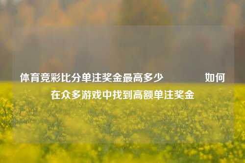 体育竞彩比分单注奖金最高多少🥉如何在众多游戏中找到高额单注奖金