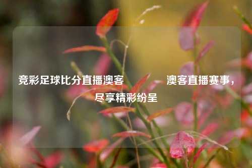 竞彩足球比分直播澳客🥈澳客直播赛事，尽享精彩纷呈