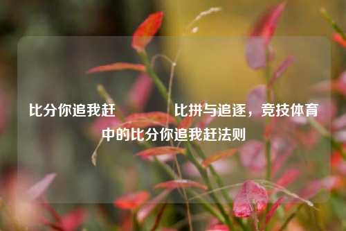 比分你追我赶🏆比拼与追逐，竞技体育中的比分你追我赶法则