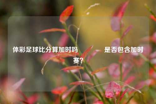 体彩足球比分算加时吗🥈是否包含加时赛？