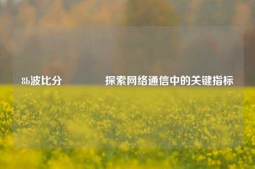8b波比分👉探索网络通信中的关键指标
